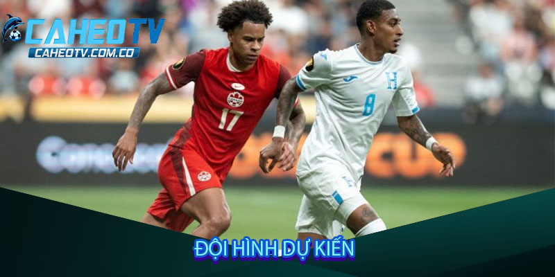 Đội hình dự kiến