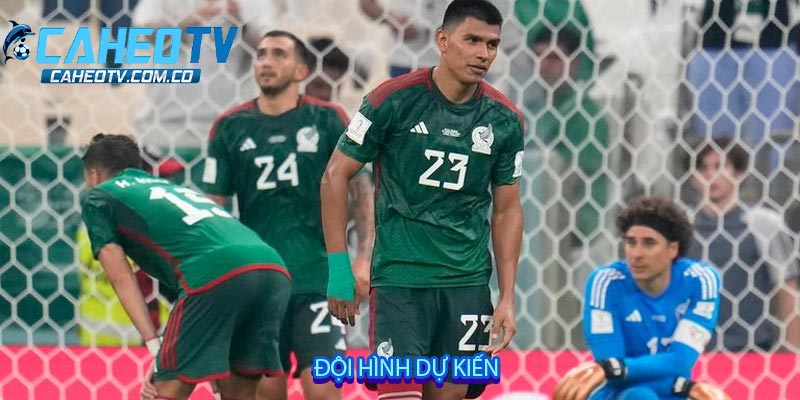 Đội hình dự kiến