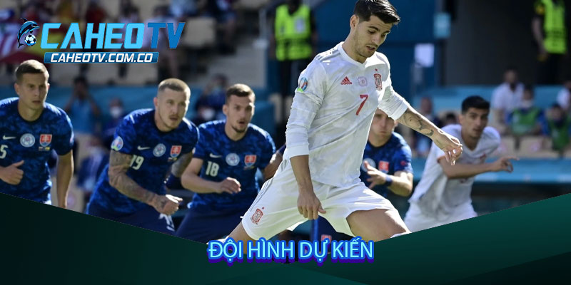 Đội hình dự kiến