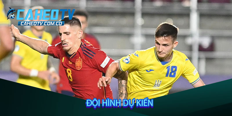 Đội hình dự kiến