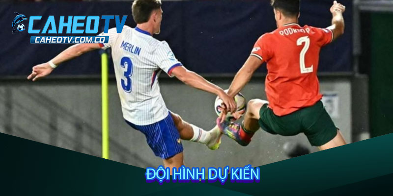 Đội hình dự kiến