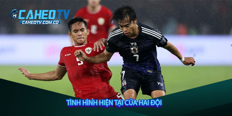Tình hình hiện tại của hai đội