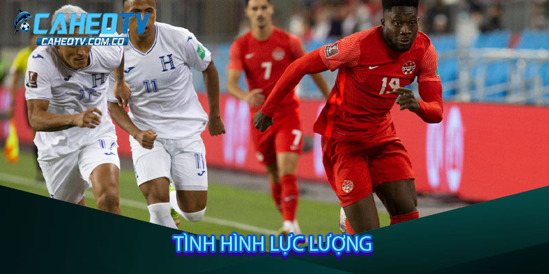 Tình hình lực lượng