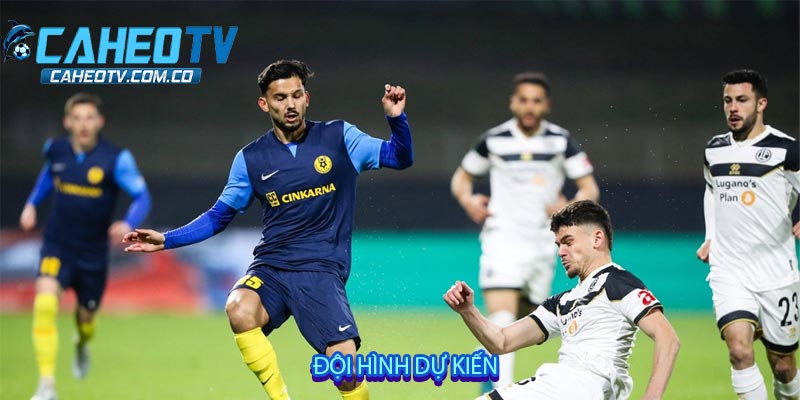 Đội hình dự kiến